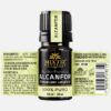 Camphor Essential Oil  (Cinnamomum camphora) - Image 2