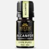 Camphor Essential Oil  (Cinnamomum camphora)