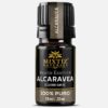 Caraway Essential Oil (Carum Carvi)