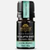 Eucalyptus Dives Essential Oil  (Eucalyptus dives)