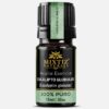Eucalyptus Globulus Essential Oil  (Eucalyptus globulus)