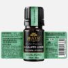 Eucalyptus Lemon Essential Oil (Eucalyptus lemon) - Image 2