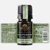 Eucalyptus Radiata Essential Oil (Eucalyptus radiata) - Image 2