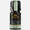 Eucalyptus Radiata Essential Oil (Eucalyptus radiata)