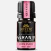 Geranium Essential Oil  (Pelargonium graveolens)