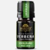 Lemon Verbena Essential Oils <br>  Lippia citriodora