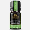 Lemongrass Essential Oil (Cymbopogon citratus)