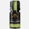 Litsea Cubeba Essential Oil (Litsea cubeba)