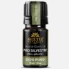 Pine Needle Essential Oil (Pinus sylvestris)