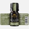 Pine Needle Essential Oil (Pinus sylvestris) - Image 2