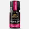 Pink Grapefruit Essential Oil (Citrus paradisi)