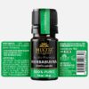 Spearmint Essential Oil (Mentha spicata) - Image 2