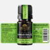 Sweet Fennel Essential Oil (Foeniculum vulgare) - Image 2